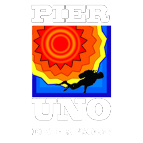 PIER UNO Logo - White
