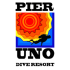 PIER LOGO