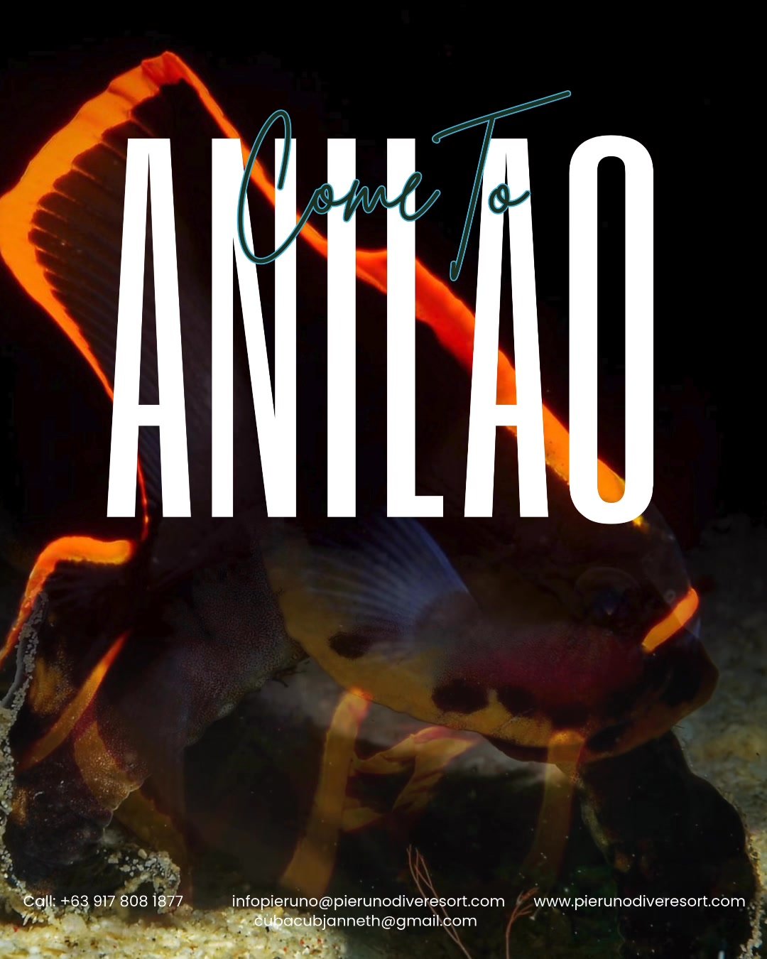 Pier Uno Dive Resort